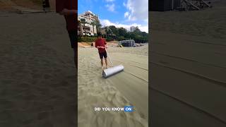 Many valuables are buried in the sand #shorts #beach #viral