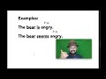 Predicate Adjectives and Linking Verbs