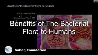 Benefits of The Bacterial Flora to Humans