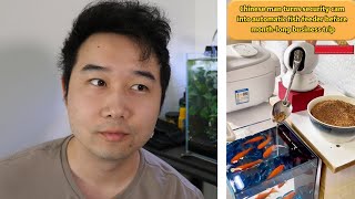 NEXT LEVEL FISH TANK VIDEOS | Fish Tank Review 315