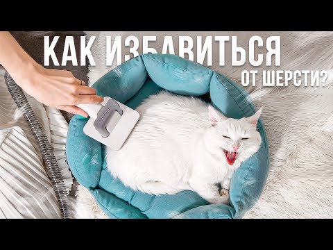 СОФА ОПЯТЬ ВСЕ ЗАШЕРСТИЛА 🙀 ОБЗОР ПЫЛЕСОСА ДЛЯ ГРУМИНГА ДОМАШНИХ ЖИВОТНЫХ GENIO Pet i50