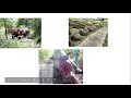 Biodiversity Loss and Human Impact