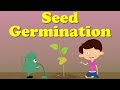 Germination and Plant Growth Concepts
