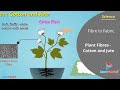Understanding Cotton and Jute