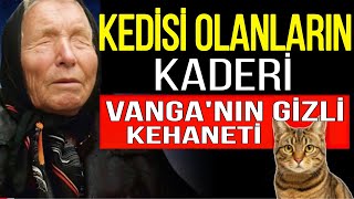 "Vanga, Evde Kedisi Olanların Kaderini Açıkladı - KEHANET BAŞLADI | ÇEKİM YASASI