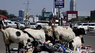 YouTube video thumbnail:  Johannesburg’s Waste Crisis Leaves Communities Surrounded by Illegal Dumps 