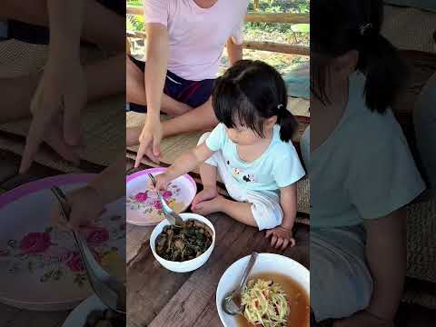 วันนี้ปลูกต้นยางพารา สี่คนช่วยกันทำ #ไทยปนลาว