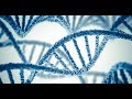 Transposons and Primate Evolution Concepts