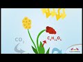 Forms and Properties of Energy