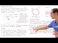 Centrioles and Cell Division Concepts