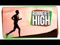 Understanding Runner's High