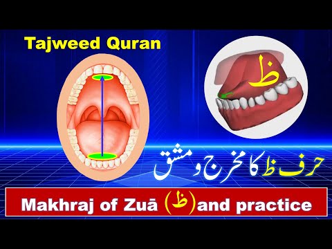 Makhraj of Zua ( ظ ) letter | Arabic Alphabet Pronunciation | Learn Tajweed Quran in Urdu