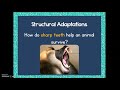 Plant and Animal Adaptations