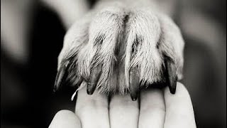 VÁHY březen 🔮 - Teď NE. Důležitej vzkaz 💥 #tarot #výkladkaret 