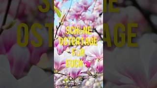 🐣 herzliches Dankeschön an alle Follower💝#shorts #shortsvideo #osterfest #kassel #dorisartvideo
