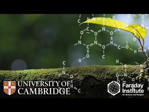 The Language of God: A Believer looks at the Human Genome
