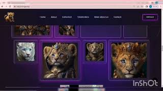 new token nft project baby bnb tiger buy on pancakeswap
