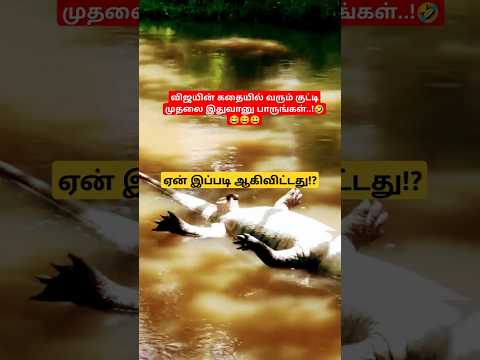 போடா #elephant #tamilagriculture #tamilpets #animals #funny #tamil #ஆறு #முதல்வர் #தமிழ்நாடு