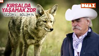 Kurt Saldırısına Yaratıcı Çözüm I Kırsalda Yaşamak Zor 4. Sezon 14. Bölüm