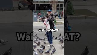 Pigeons Go Wild for Snack Time