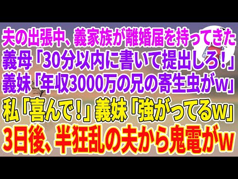 【スカッとする話】夫の出張中、義母と義妹が離婚届を持って家に来ると、義母「30分以内にサインして提出しろ！」義妹「年収3000万の兄の寄生虫がw」私「喜んで！」義妹「強がっちゃってw」3日後…