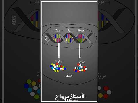 ◀️ دوراتنا التعليمية في العلوم الطبيعية. ◀️ للمزيد من التفاصيل تواصل معنا: 0553600416