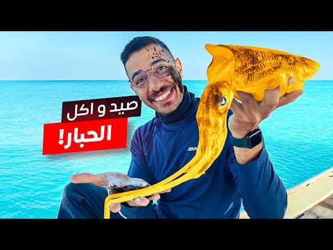 رحلة صيد الحبار : من البحر إلى الشواية 🦑