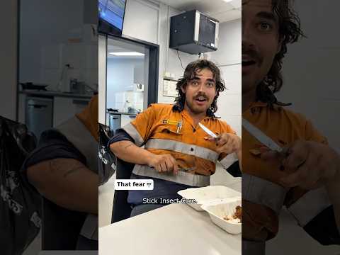 Wait… that stick just moved!😳#stickinsect #funnyanimals #pets #core #funny #fyp