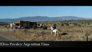 Elvis Cowboy