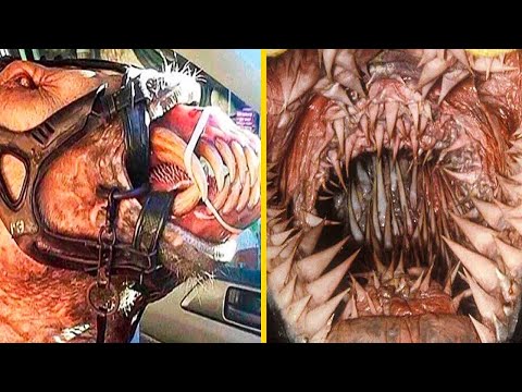 25 bocas de animais mortais que vão te dar arrepios!