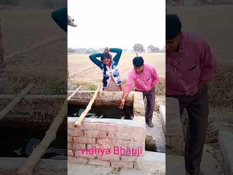 दिल खुश कर दिया मेरी जान vidhya Bhauji #shorts #shortsvideo #youtubshorts