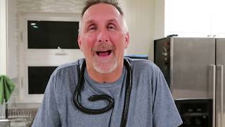 TMS - why is TMS pain and other symptoms just like a rubber snake?