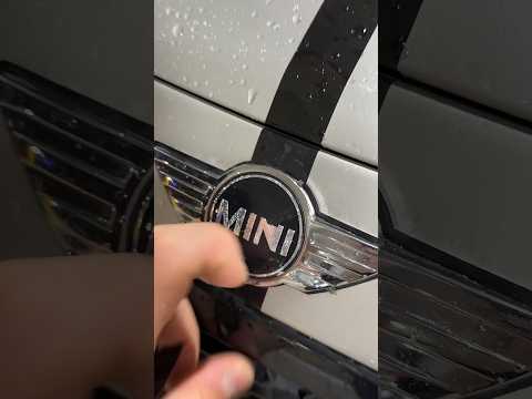 TROQUEI O EMBLEMA DO MEU MINI!