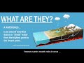 Watershed Concepts and Importance
