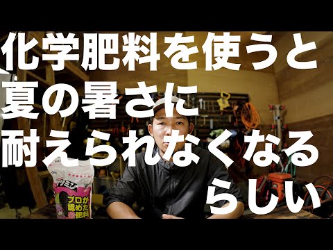 化学肥料だけで育てている人は注意してください