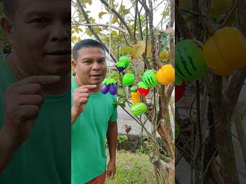Buah apa itu dek #shorts #trending #funny #subscribe