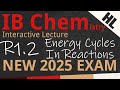 Enthalpy and Lattice Energy Concepts
