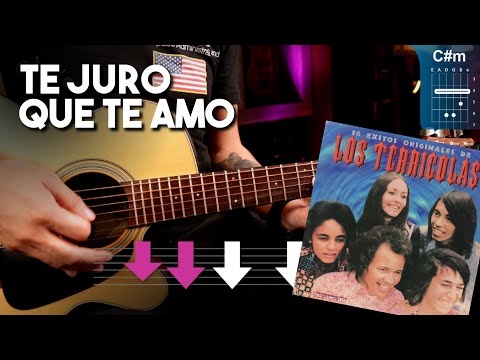 Te Juro Que Te Amo - Los Terrícolas | GUITARRA TUTORIAL ACORDES + REQUINTO  | Christianvib