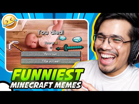 FUNNIEST MINECRAFT MEMES EVER ! 😂 ft. Lilyville Gang