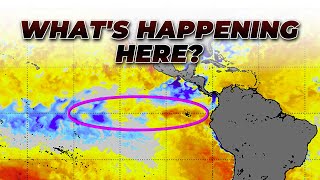 El Nino Coming On - But How Strong?