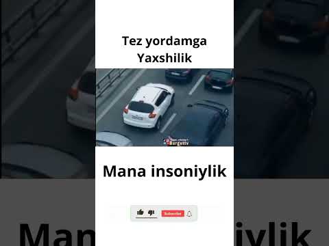 Insoniylik! #mantiqiy #obuna #uzbek #uzbeklar #nuriddindomla #rekchiq #rekda #uzb #uzbekistan #music