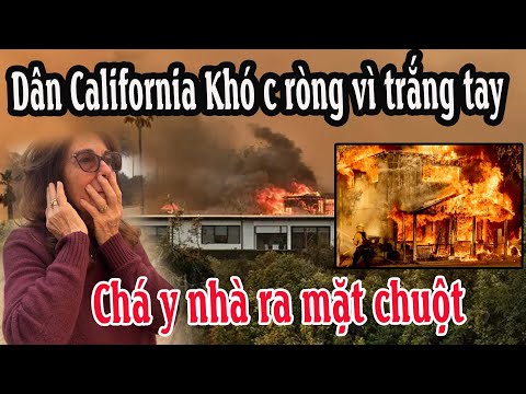 Chá y nhà ra mặt chuột – Dân California Khó c ròng vì trắng tay