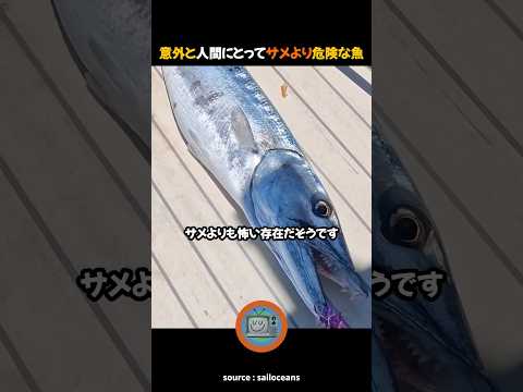 意外とダイバーにとってサメより危険な魚