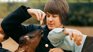 Pet Sounds – May 16, 1966