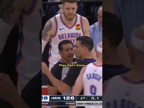 Fan Catches Ball in PLAY