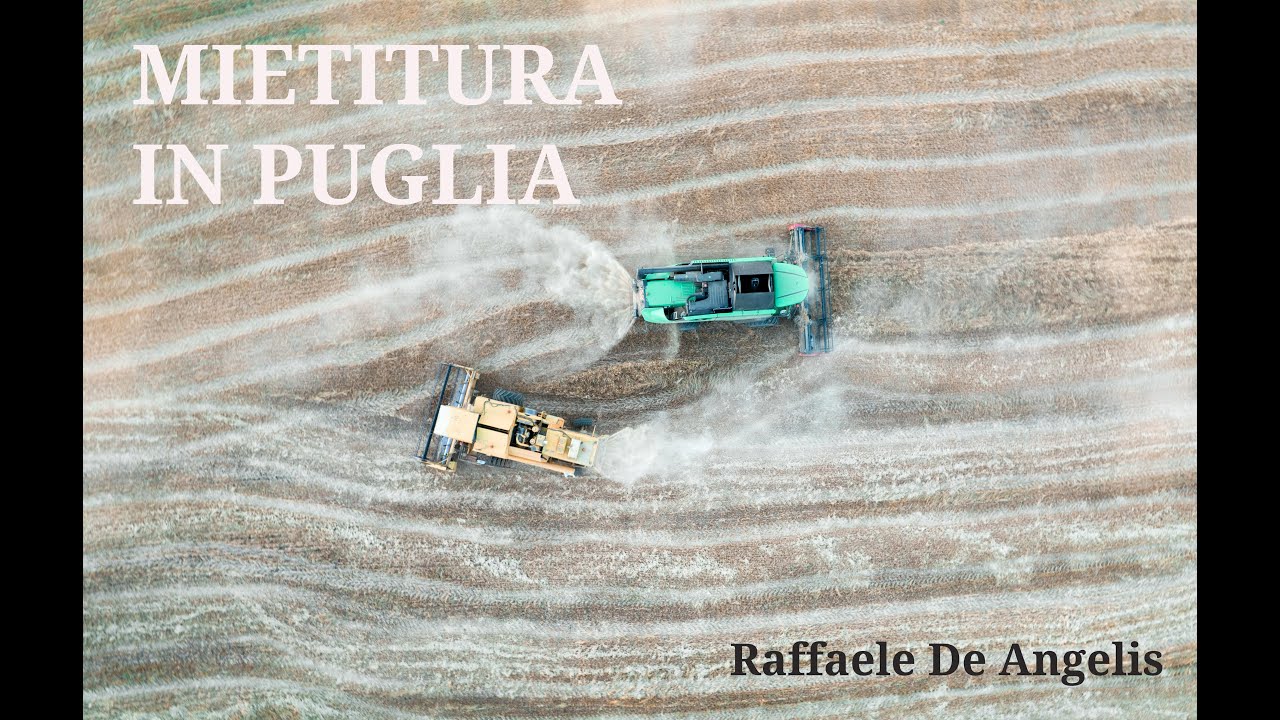 Pasquale Leo