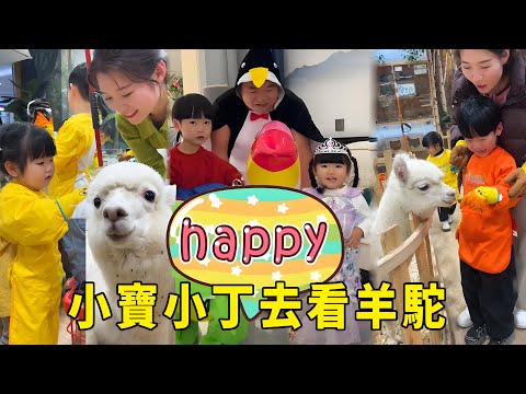 小寶小丁把自己打扮成動物，沒想到媽媽要帶他們去真正的動物園，餵羊駝開賽車抓娃娃，太開心了！ 【男幼師 賈爸爸】