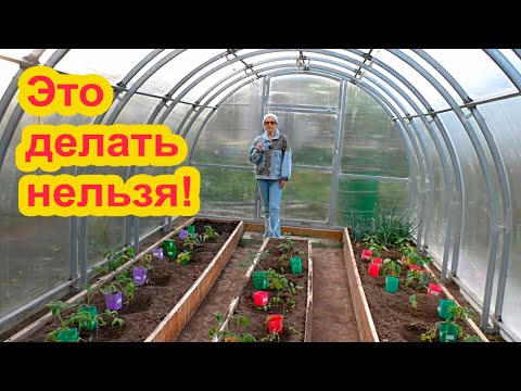 Что нельзя делать с высаженными растениями