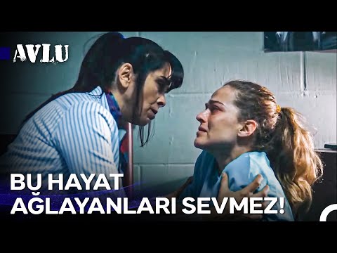 Yediğimiz Darbeler Bizi Düşürmez, Güçlendirir! - Avlu