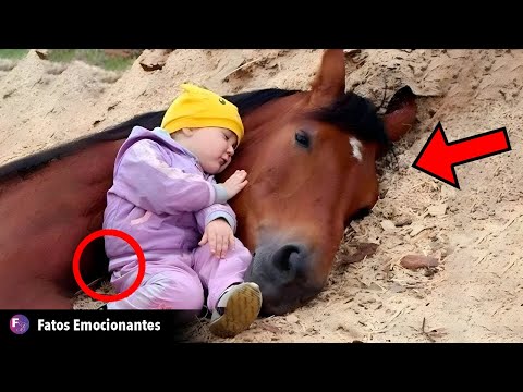 CAVALO MORRE E CRIANÇA DEITA AO LADO. UM MINUTO DEPOIS, UM MILAGRE ACONTECE!